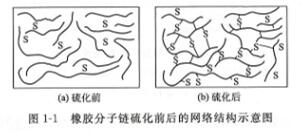 橡膠分子鏈硫化前后的網(wǎng)絡(luò)結(jié)構(gòu)示意圖