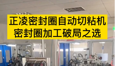 「視頻」正凌密封圈自動切粘機(jī)--密封圈加工破局之選！